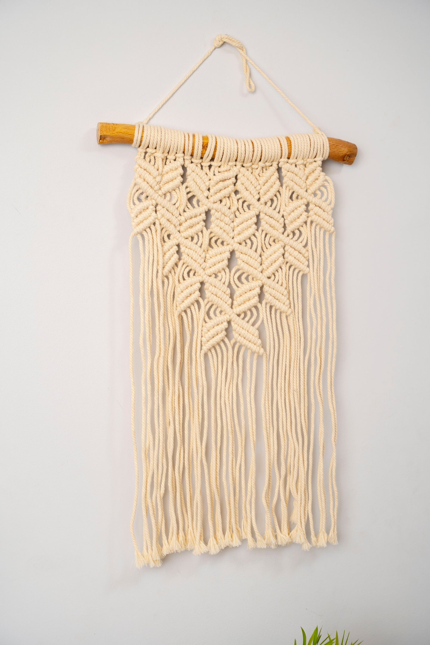 wall Pendant 217 (macrame)