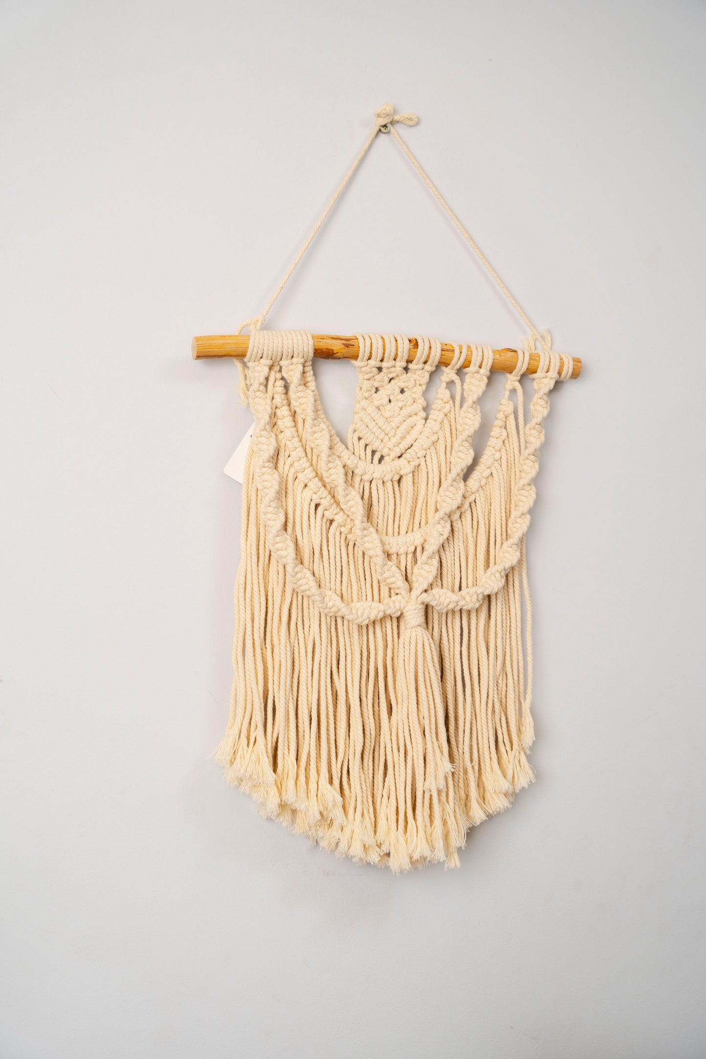 wall Pendant 187 (macrame)