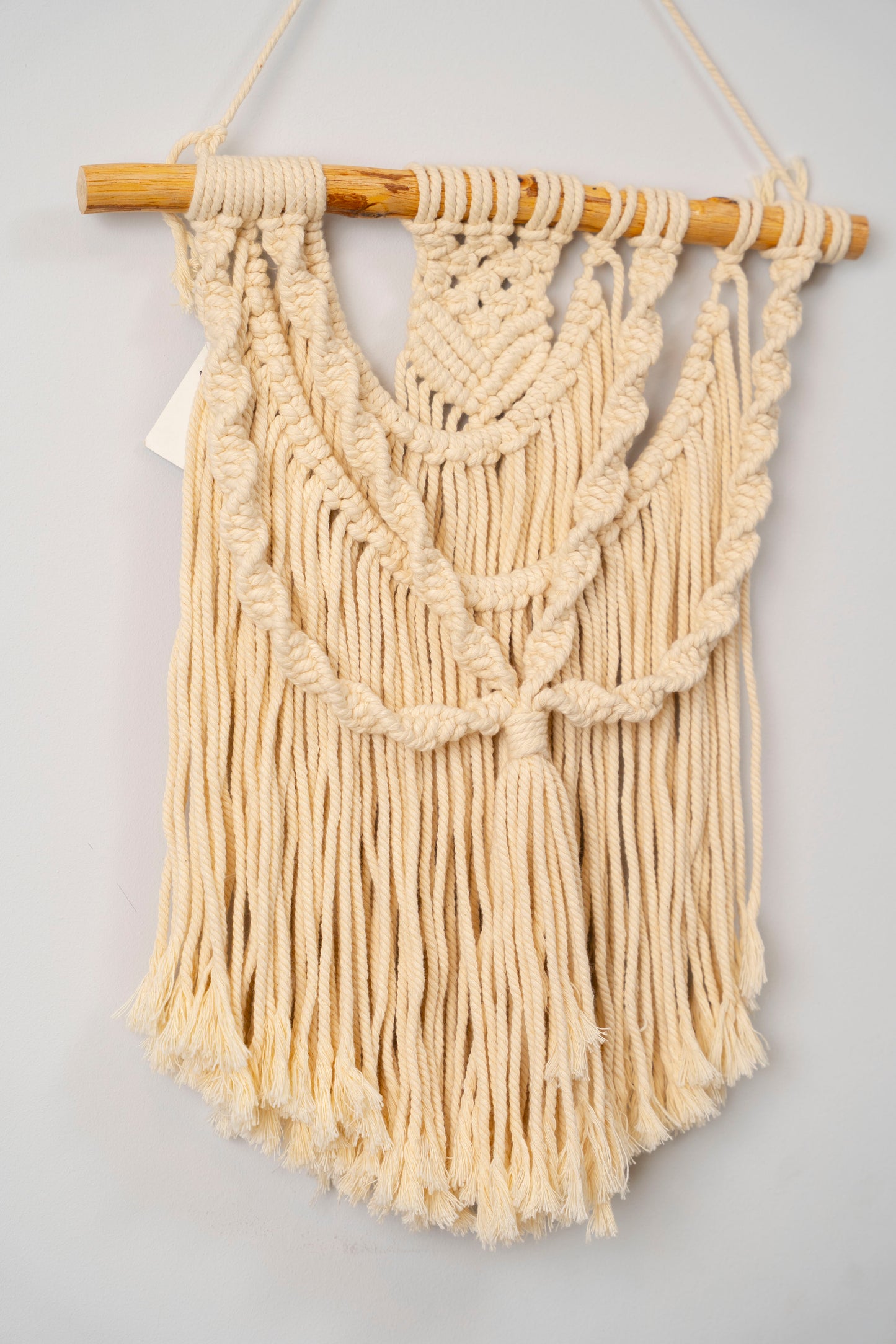 wall Pendant 215 (macrame)