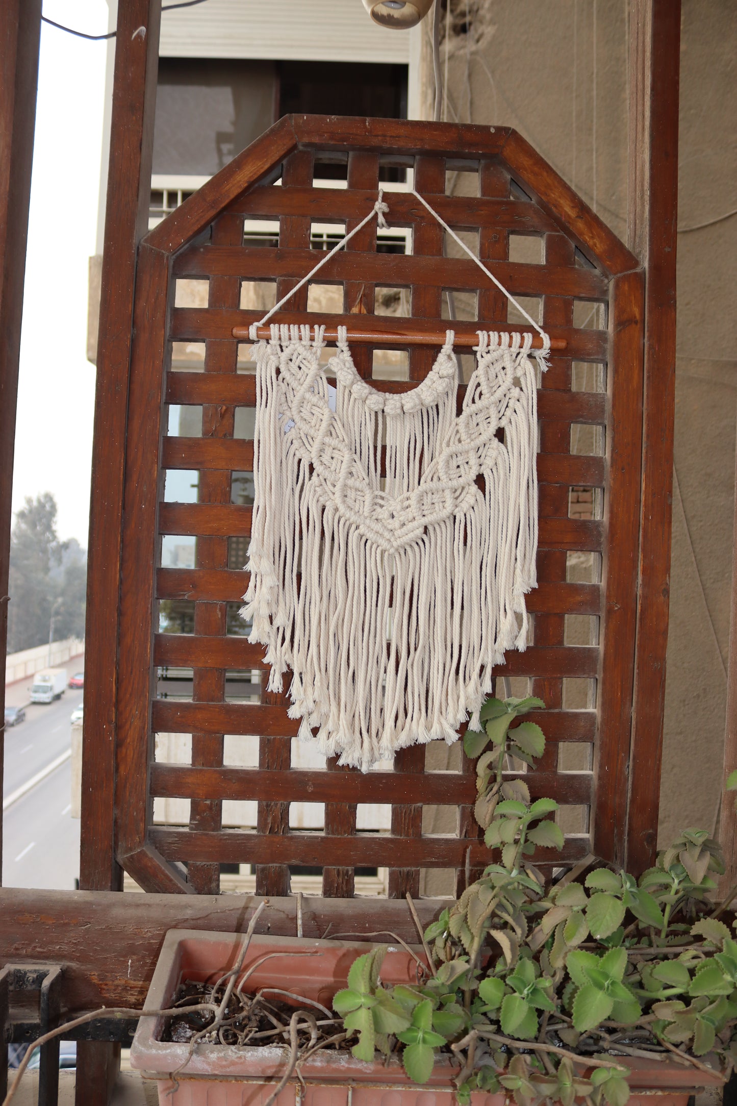 wall Pendant 216 (macrame)